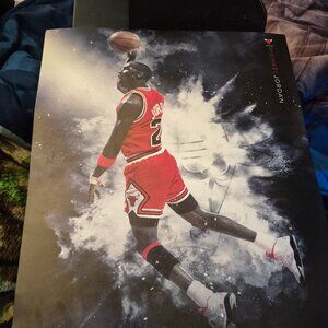 A michael Jordan poster